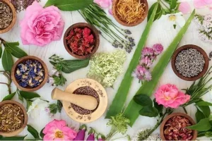 Các thành phần chính trong mỹ phẩm thiên nhiên