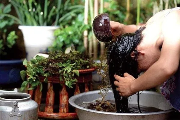 Xây dựng quy trình chăm sóc tóc hiệu quả với mỹ phẩm thiên nhiên