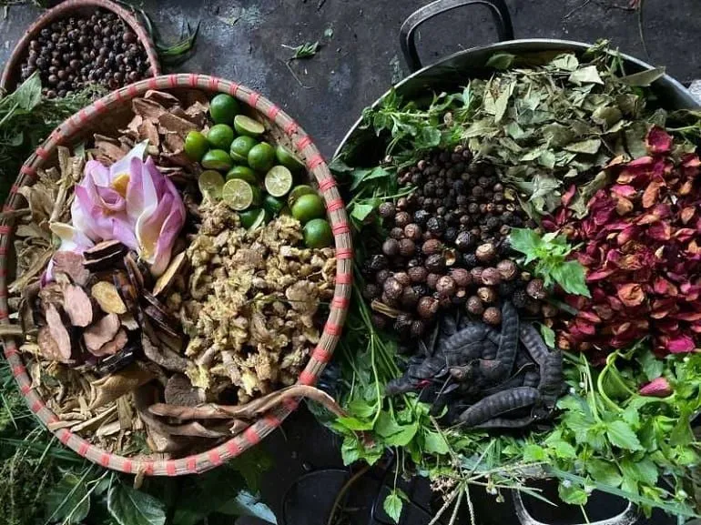 Các thành phần thiên nhiên "ưu việt" trong chăm sóc tóc