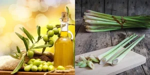 Mỹ phẩm thiên nhiên cho tóc