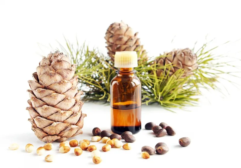 Tinh dầu (Essential Oils): Hương thơm và công dụng trị liệu